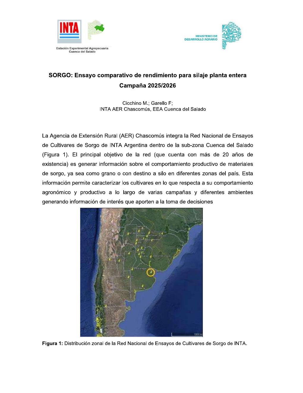 INTA Chascomús – Sorgo para silaje - página 1