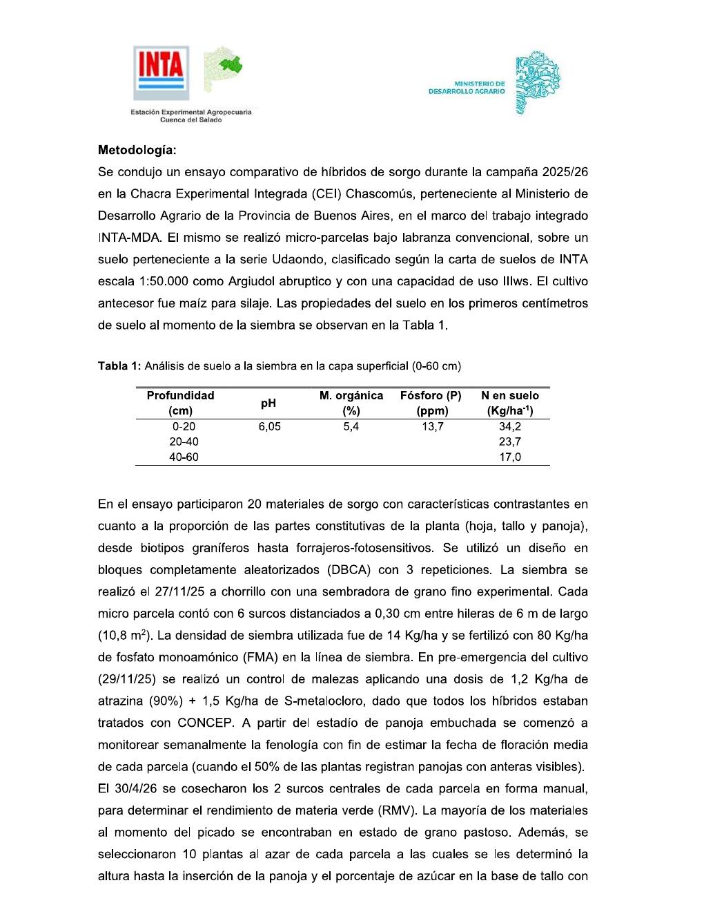 INTA Chascomús – Sorgo para silaje - página 2