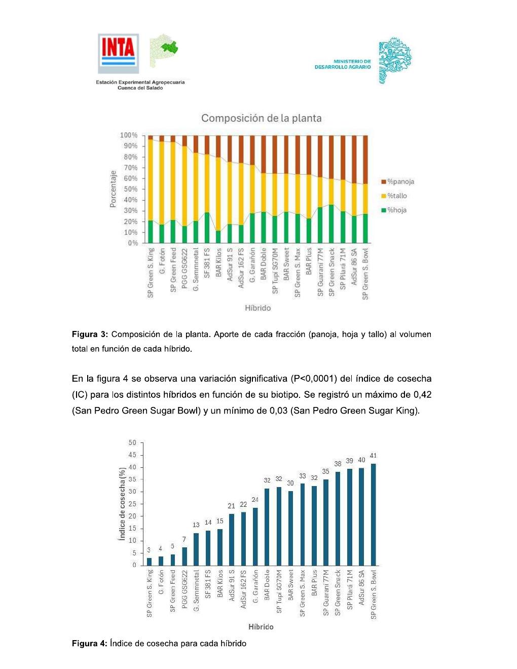 INTA Chascomús – Sorgo para silaje - página 7
